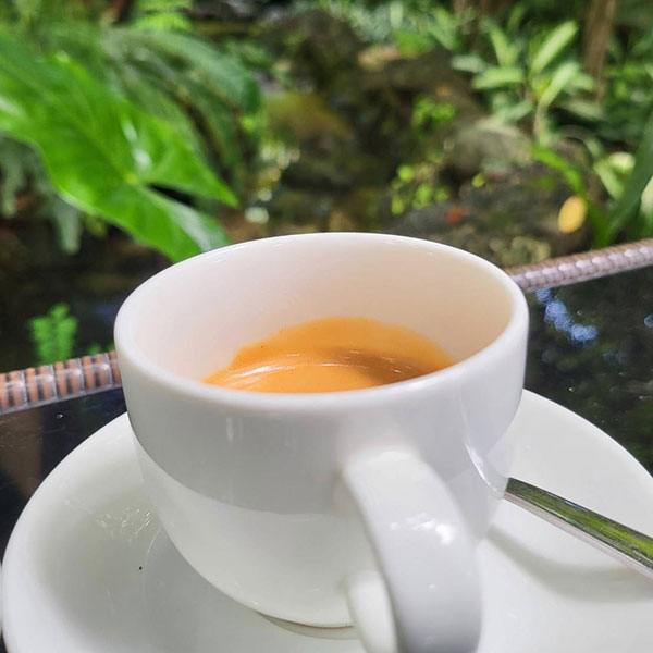คาเฟ่ชะอม-คันทรีคาเฟ่ชะอม-01