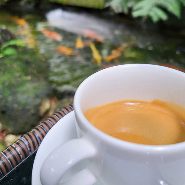 คาเฟ่ชะอม-คันทรีคาเฟ่ชะอม-06 คาเฟ่ชะอม-คันทรีคาเฟ่ชะอม-06